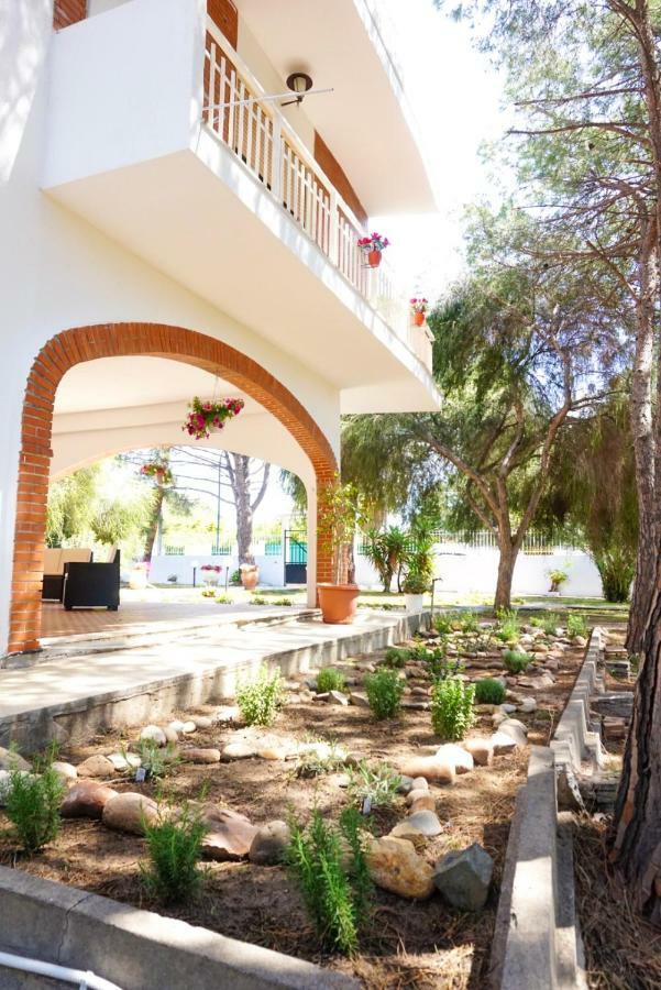 Villa Aurelia - Seafront Apartment With Terrace Quartu Sant'Elena Eksteriør billede